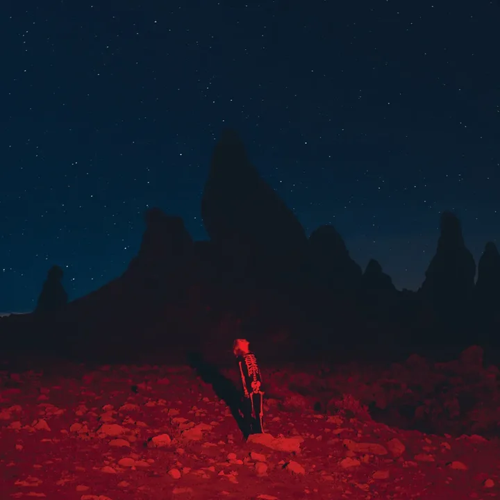 Phoebe Bridgers, Punisher