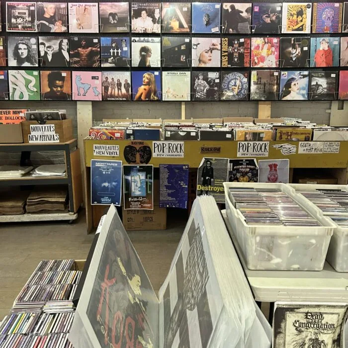 Pop and rock wall above the new vinyl bins